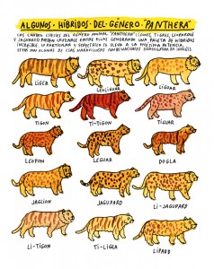 9 PERIFERIAS_ RICARDO CAVOLO