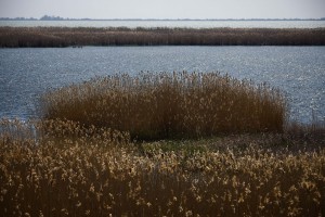 WEB_POT0410