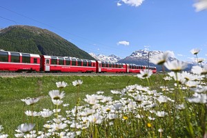 Bernina Express im Oberengadin