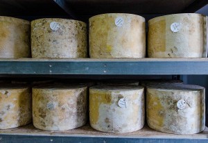REDUCIDA cheese-at-cheddar-gorge-cheese-company