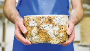 young-buck---mike's-fancy-cheese