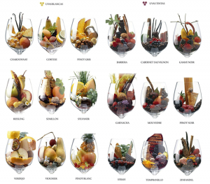 sabores-aromas-vino