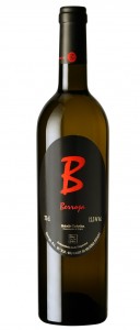 berroja foto botella berroja