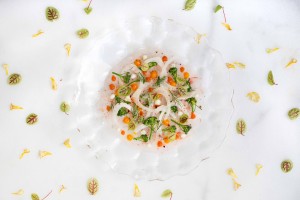 12 Tiradito de Gambosí1 copia