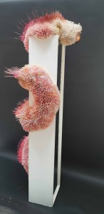 2 serpiente del espejo