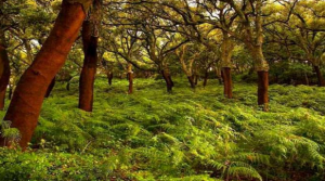 Captura de pantalla 2019-10-11 a las 1.44.21