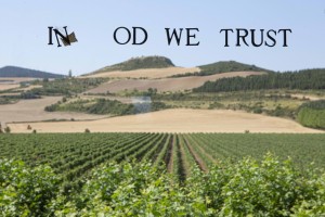 4. FUNDACION OTAZU_ENOTURISMO (8)