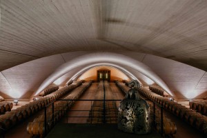 6. Fundación Otazu (4)