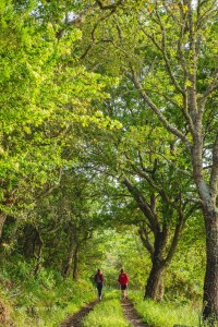Fotos com Marca d'Água Rota Vicentina® - Vertical
