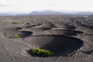 Foto 4 El Grifo 17