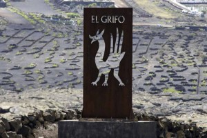 Foto 5 El Grifo 15
